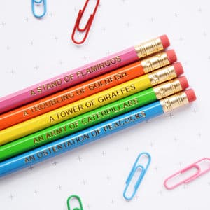 Colourful Animal Nouns Pencil Set